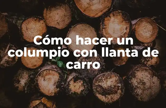 Cómo Hacer un Columpio con Llanta de Carro 2 ¿Qué es un columpio con llanta de carro y para qué sirve?