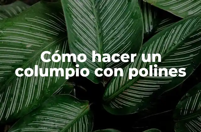Cómo Hacer un Columpio con Polines