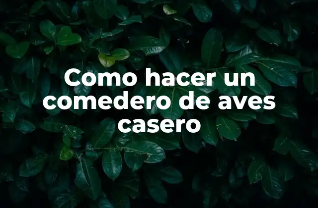 Como Hacer un Comedero de Aves Casero