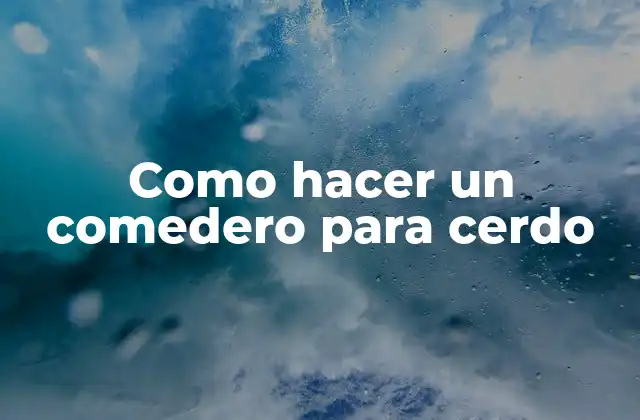 Como Hacer un Comedero para Cerdo