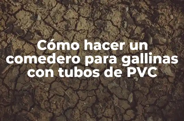 Cómo Hacer un Comedero para Gallinas con Tubos de Pvc