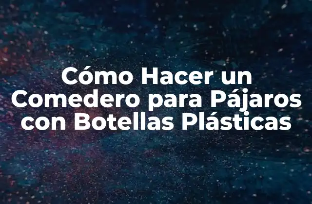 Cómo Hacer un Comedero para Pájaros con Botellas Plásticas 2 Cómo Hacer un Comedero para Pájaros con Botellas Plásticas Recicladas