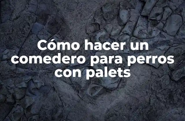 Cómo Hacer un Comedero para Perros con Palets