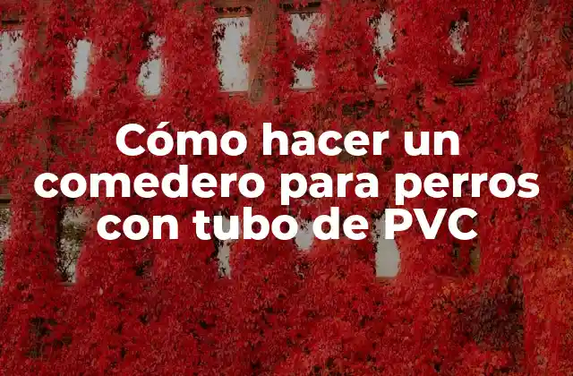 Cómo Hacer un Comedero para Perros con Tubo de Pvc