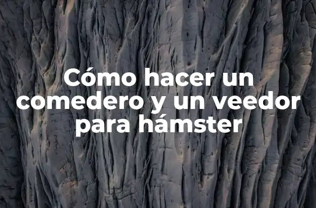 Cómo Hacer un Comedero y un Veedor para Hámster