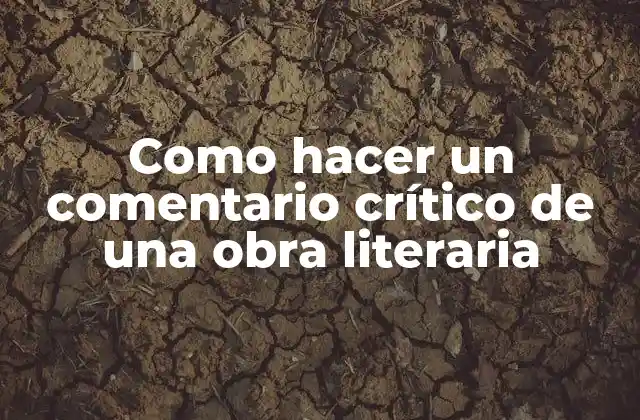 Como Hacer un Comentario Crítico de una Obra Literaria
