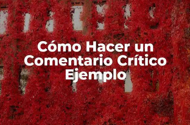 ¿Qué es un Comentario Crítico Ejemplo?