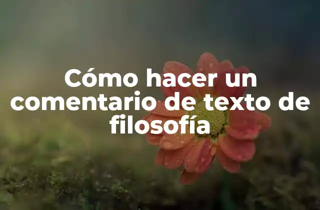 Cómo Hacer un Comentario de Texto de Filosofía