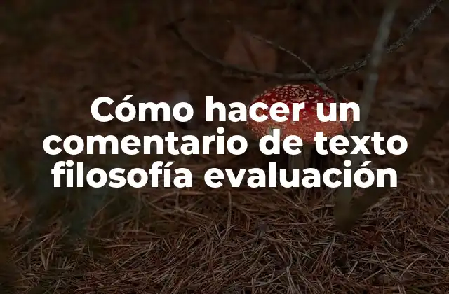 Cómo Hacer un Comentario de Texto Filosofía Evaluación