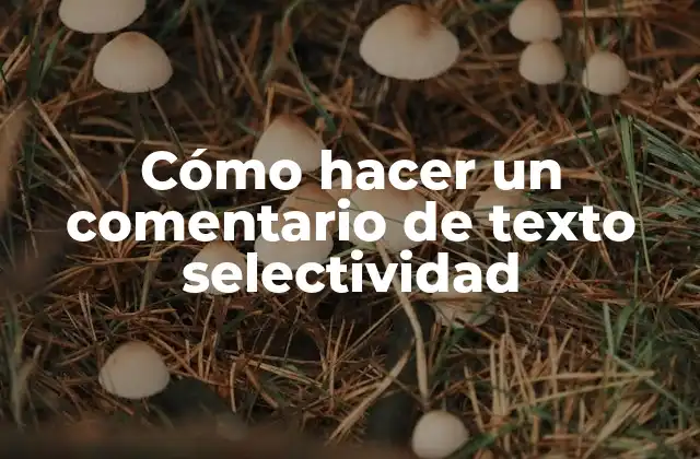 Cómo Hacer un Comentario de Texto Selectividad