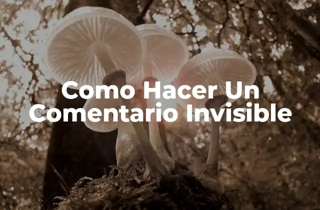 Como Hacer un Comentario Invisible