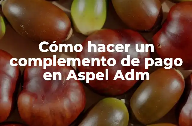Cómo Hacer un Complemento de Pago en Aspel Adm