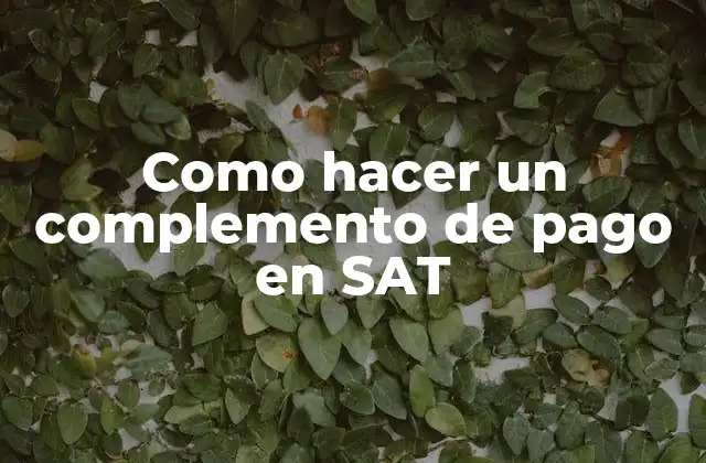 Como Hacer un Complemento de Pago en Sat