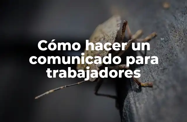 Cómo Hacer un Comunicado para Trabajadores