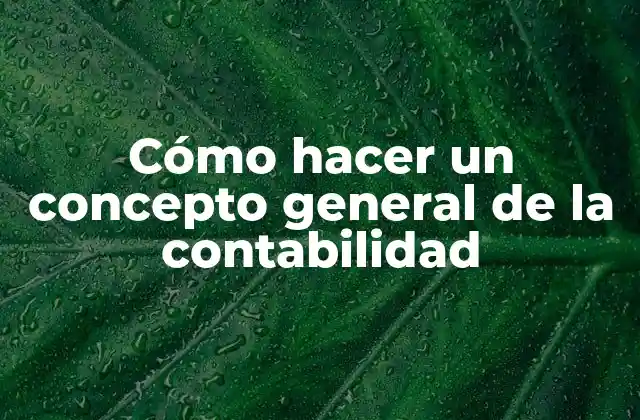 Cómo hacer un concepto general de la contabilidad