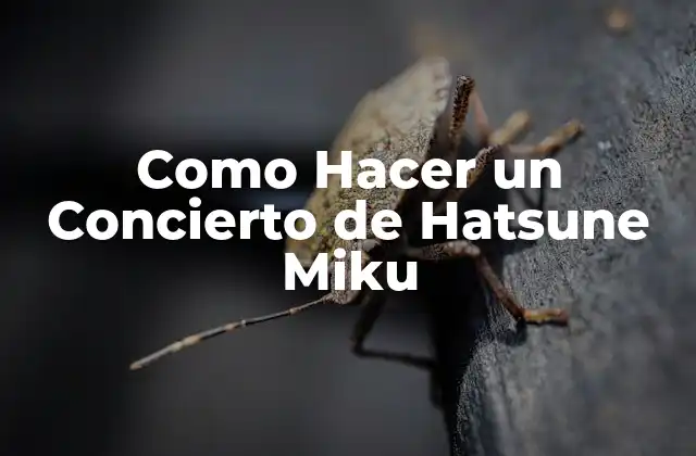 Como Hacer un Concierto de Hatsune Miku
