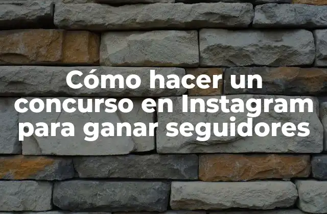 Cómo Hacer un Concurso en Instagram para Ganar Seguidores