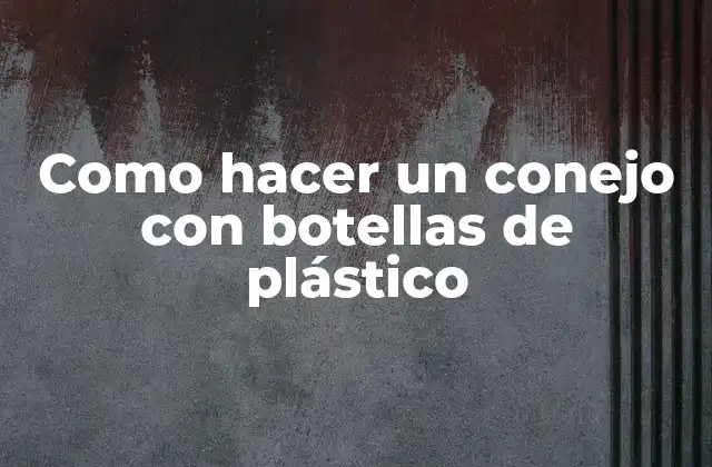 Como Hacer un Conejo con Botellas de Plástico