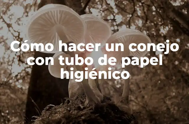 Cómo Hacer un Conejo con Tubo de Papel Higiénico