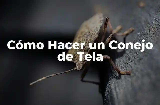 Cómo Hacer un Conejo de Tela 2 ¿Qué es un Conejo de Tela?