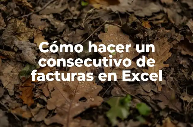 Cómo Hacer un Consecutivo de Facturas en Excel