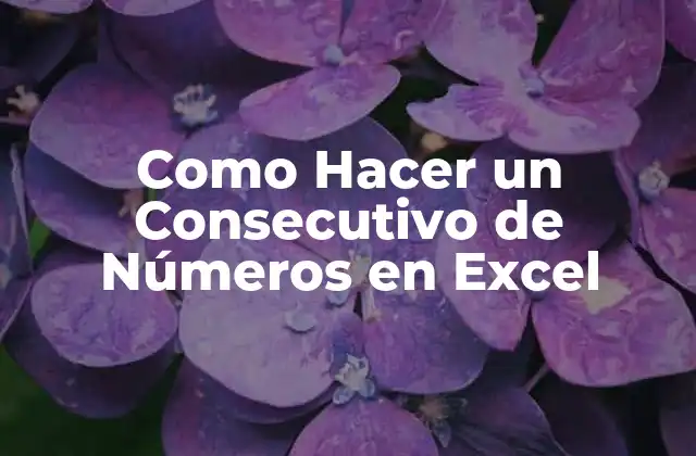 Como Hacer un Consecutivo de Números en Excel