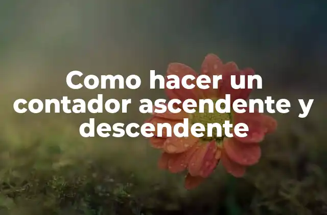 Como Hacer un Contador Ascendente y Descendente