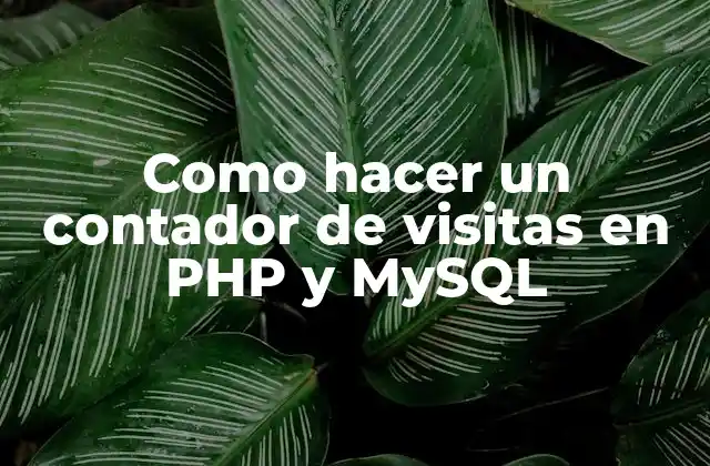 Como Hacer un Contador de Visitas en Php y Mysql 2 ¿Qué es un contador de visitas en PHP y MySQL?