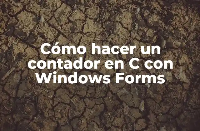 Cómo Hacer un Contador en C con Windows Forms 2 Cómo hacer un contador en C con Windows Forms