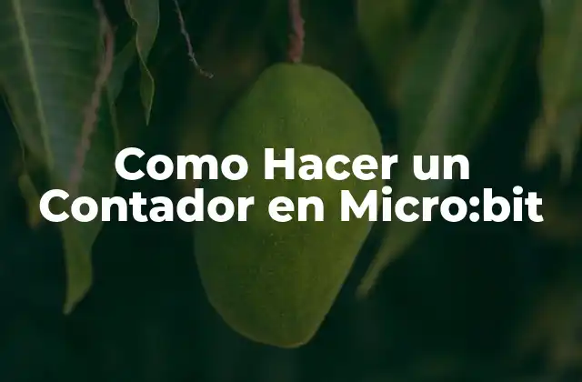 Como Hacer un Contador en Micro:bit
