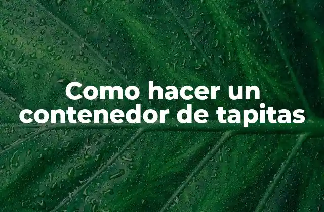 Como Hacer un Contenedor de Tapitas