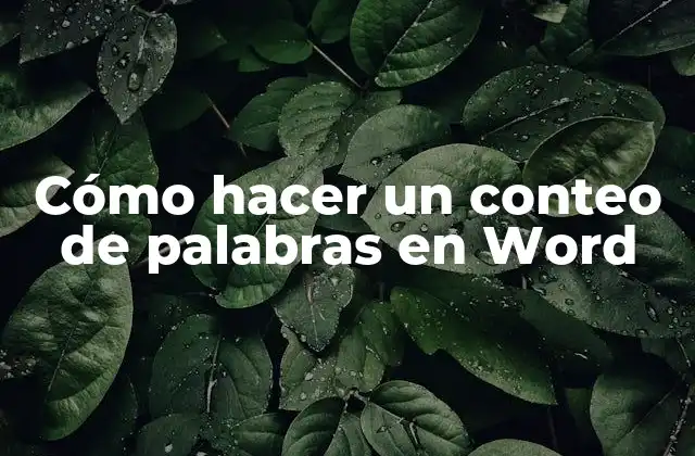 Cómo Hacer un Conteo de Palabras en Word