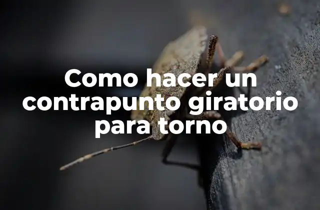 Como Hacer un Contrapunto Giratorio para Torno