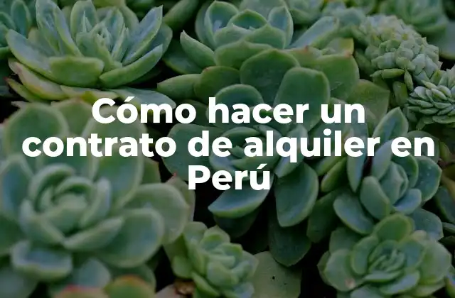 Cómo Hacer un Contrato de Alquiler en Perú