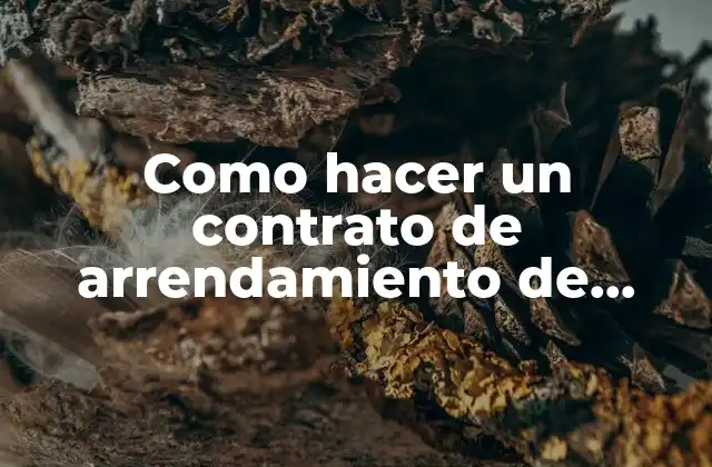 Como Hacer un Contrato de Arrendamiento de Terreno