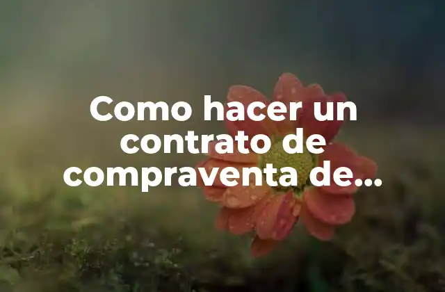 Como Hacer un Contrato de Compraventa de Productos