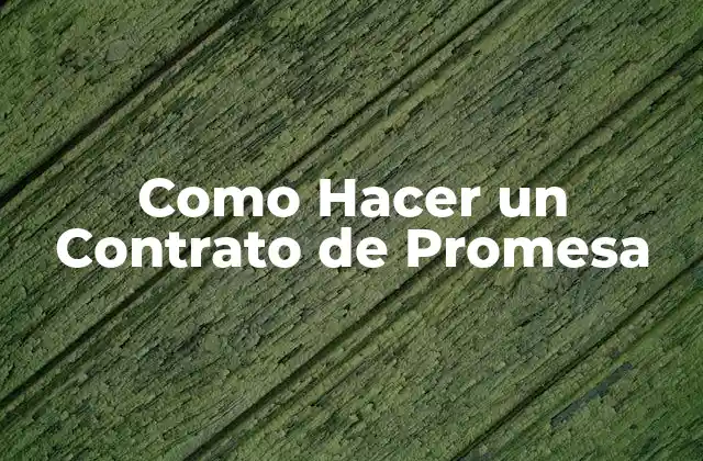 Como Hacer un Contrato de Promesa