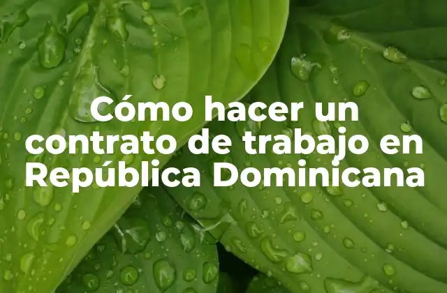 Cómo Hacer un Contrato de Trabajo en República Dominicana