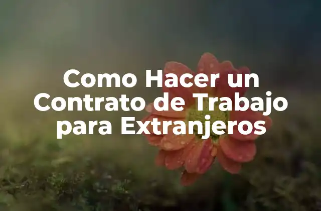 Como Hacer un Contrato de Trabajo para Extranjeros