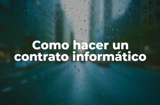 Como Hacer un Contrato Informático