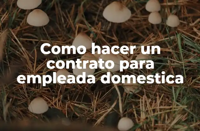 Como Hacer un Contrato para Empleada Domestica