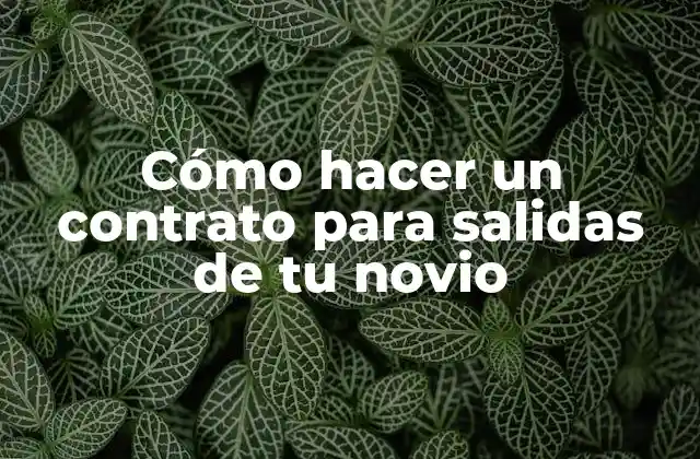 Cómo Hacer un Contrato para Salidas de Tu Novio