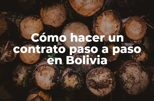 Cómo Hacer un Contrato Paso a Paso en Bolivia