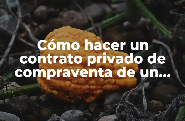 Cómo Hacer un Contrato Privado de Compraventa de un Terreno