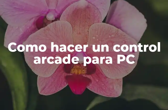 Como Hacer un Control Arcade para Pc