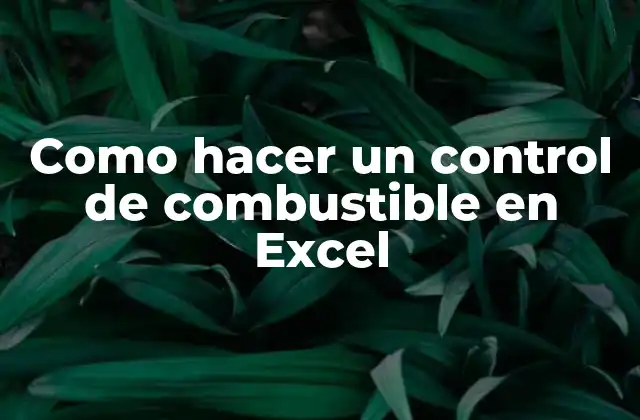 Como Hacer un Control de Combustible en Excel