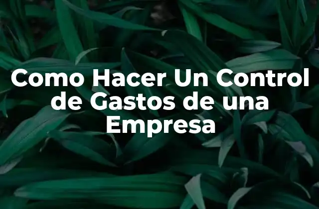 Como Hacer un Control de Gastos de una Empresa
