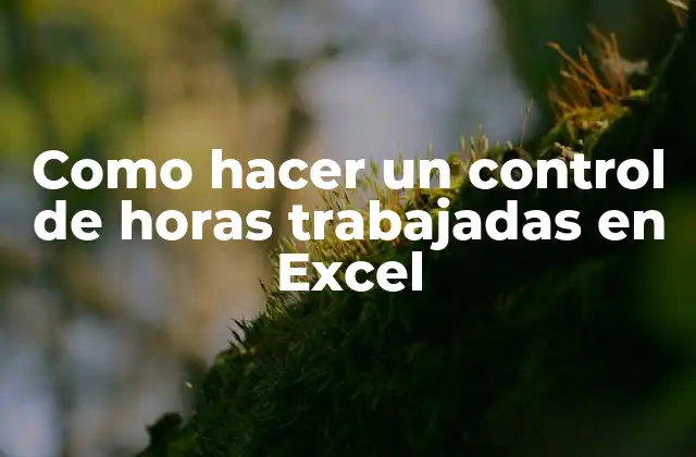 Como Hacer un Control de Horas Trabajadas en Excel