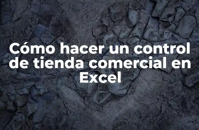 Cómo Hacer un Control de Tienda Comercial en Excel