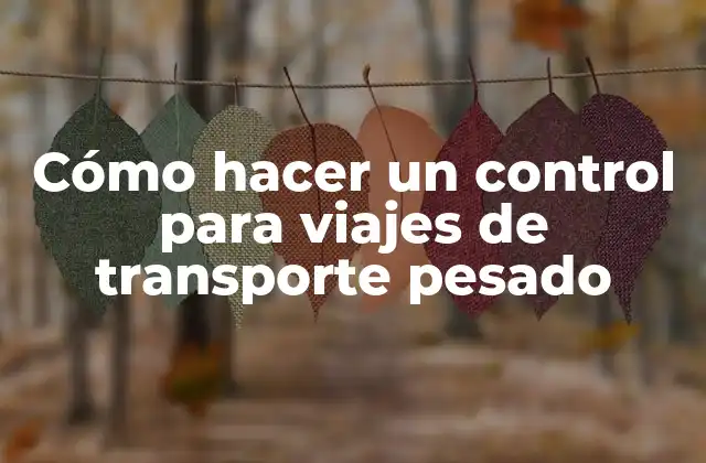 Cómo Hacer un Control para Viajes de Transporte Pesado